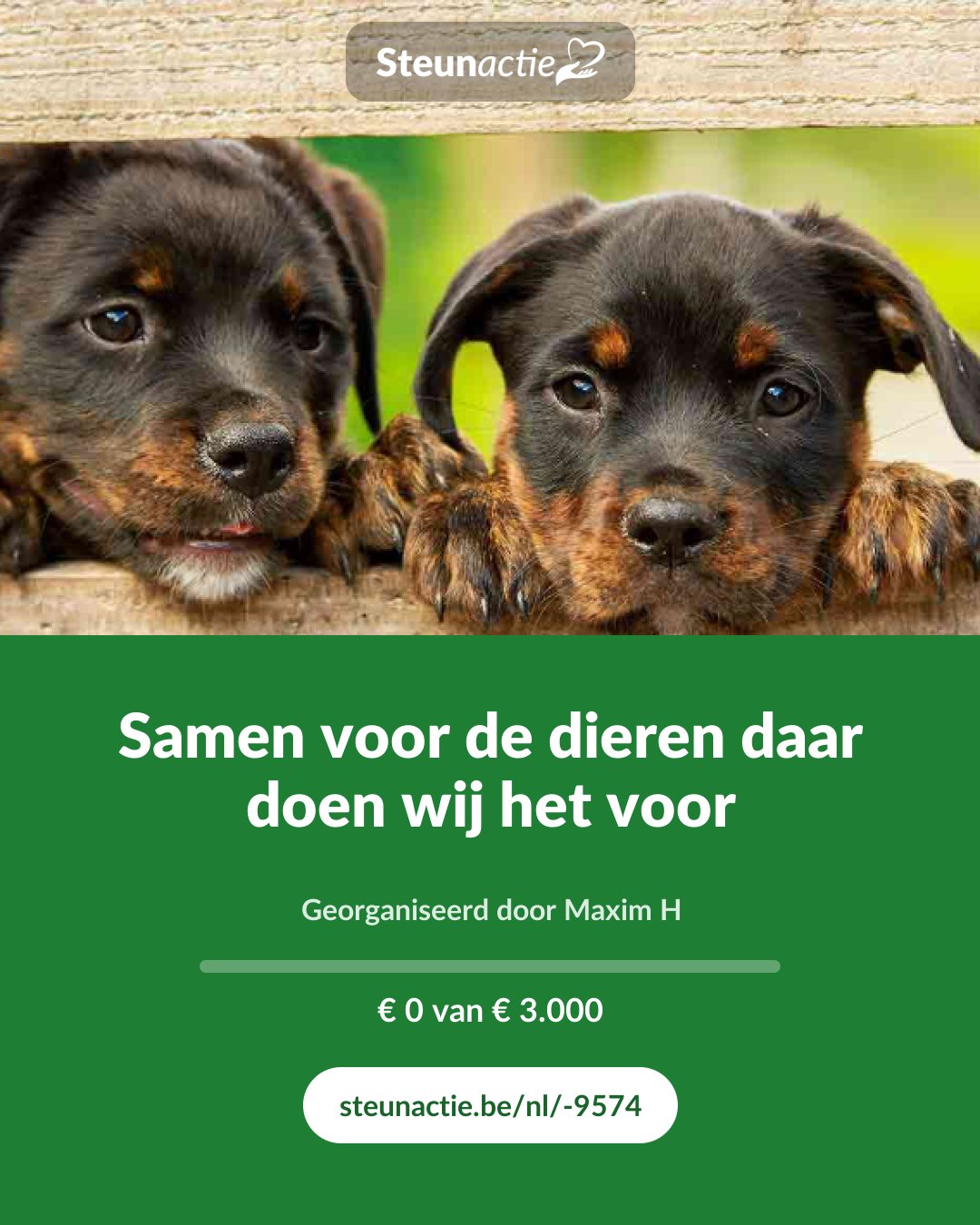 Voorbeeld van de afbeelding