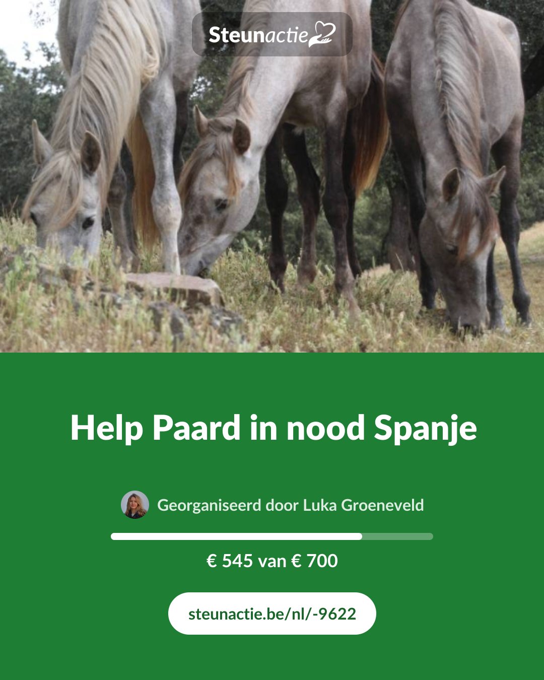Voorbeeld van de afbeelding