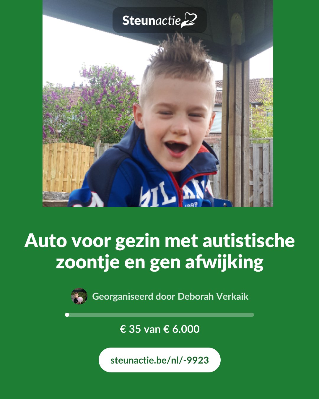 Voorbeeld van de afbeelding