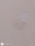 292274298 7628981403809909 2636348780364657388 n