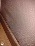 293690004 776017093411645 3167397045047402845 n