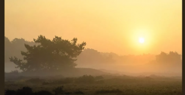 Help ons een B&B te bouwen