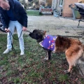 img 20230208 wa0017