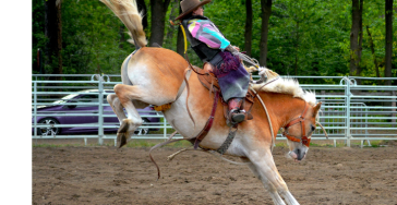 Be part of my trail to Cheyenne
