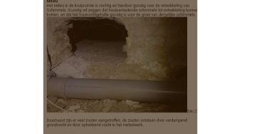 Moerasschimmel hoge kosten&ziekte. Ellende door huurhuis sociale woningbouw