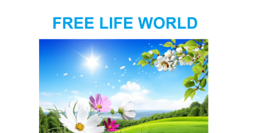 Ondersteun onze organisatie Free Life World en onze humanitaire projecten!