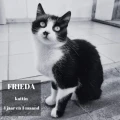 fb img 1694120837239