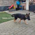 zita