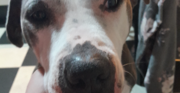 Help jessy met haar operatie 