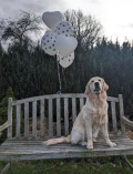 set pootjes + hartjes met helium en kuba