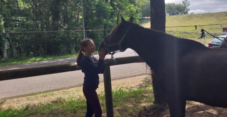 graag steun bij aankoop zorgpaardje voor kleindochter