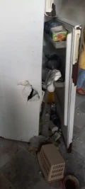 8vnqwyrjblpoxqjrrbtfootjyic