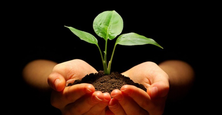 From Waste to Wonder: A Sustainable Journey