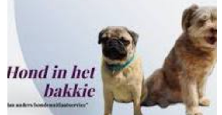 Hondenuitlaatservice hond in het bakkie