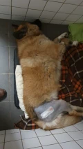 img 20221220 wa0008