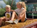 hertenboerderij 7 1536x1152