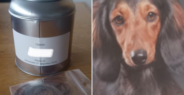 Steun  josephine..hondje pien overleden na aanval.
