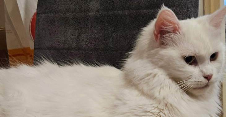 Help spooky dat haar vriendinnen terug naar huis komen