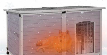 Help de asielhonden de koude maanden door