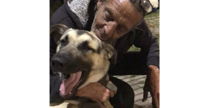 Help Roberto en zijn dieren