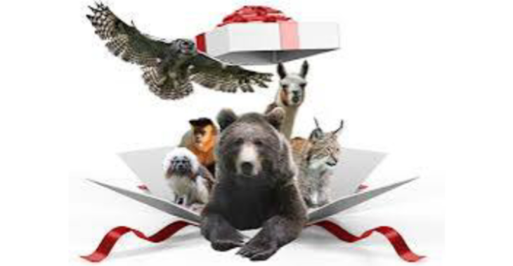 Inzameling  dierenwelzijn