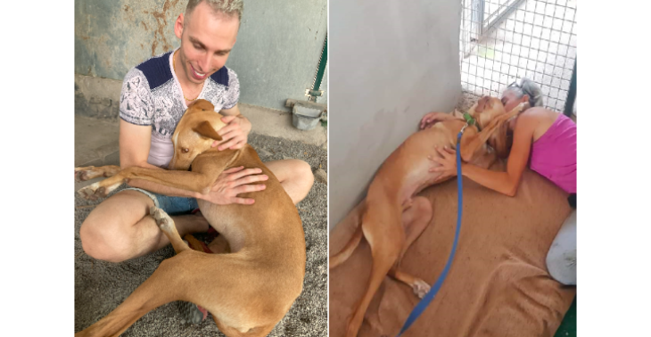 Steun Happydog Maspalomas en red honden