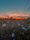 img 20240711 wa0001