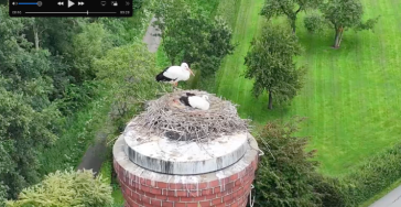 Help stoomgemaal de Tuut weer op stoom