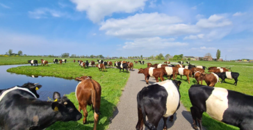 Steun het Land van Wei & Water met de Lakenvelders
