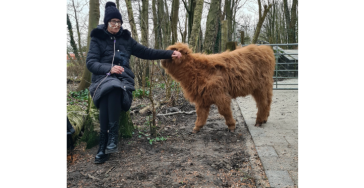 Wensenlijst spoed