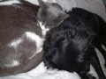 img 20210222 wa0002