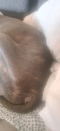 1000024016