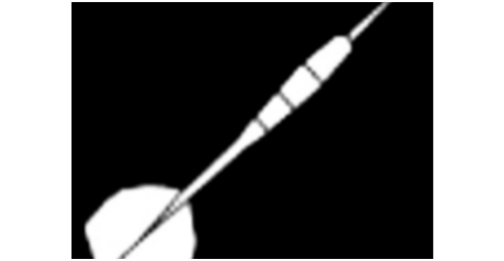 Dartscariëre 