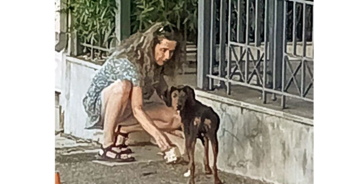 Help stichting Artamiti in Epidaurus - Griekenland