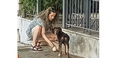 Help stichting Artamiti in Epidaurus - Griekenland