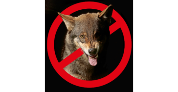 Een wolfvrije leefomgeving