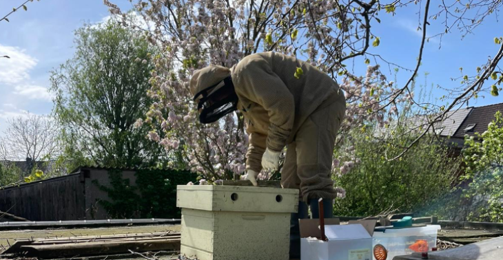 Samen beschermen we bijen, natuur en mensen 🐝🌱