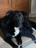 img 9972