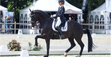 L&R Horse Events t.b.v. DVB Foundation