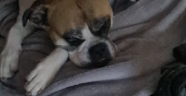Help Kira te genezen van haar long aandoening