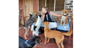 Help ZAASO: Red de dieren op Zanzibar! 🐾