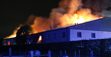 Brand