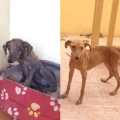 fb img 1645211025530