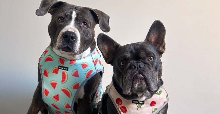 ALLES KWIJT BEHALVE HUN HONDEN: help dit jonge gezin uit nood!