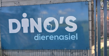 Help DINO ( Dieren in Nood )
