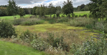 Samen voor de vijver van Golfparc Sandur