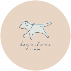 Dog's Home 