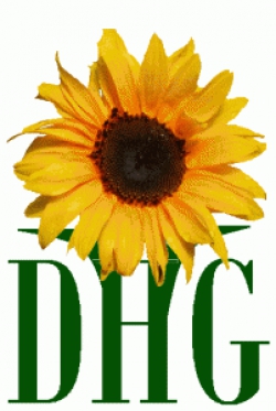 Dag Herdenken Geweldslachtoffers (DHG)