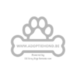 SOS Stray Dogs Romania vzw Adoptiehond.be